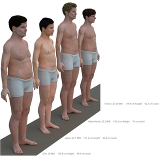 Illustration for article titled El hombre promedio en varios países, comparado y visualizado en 3D